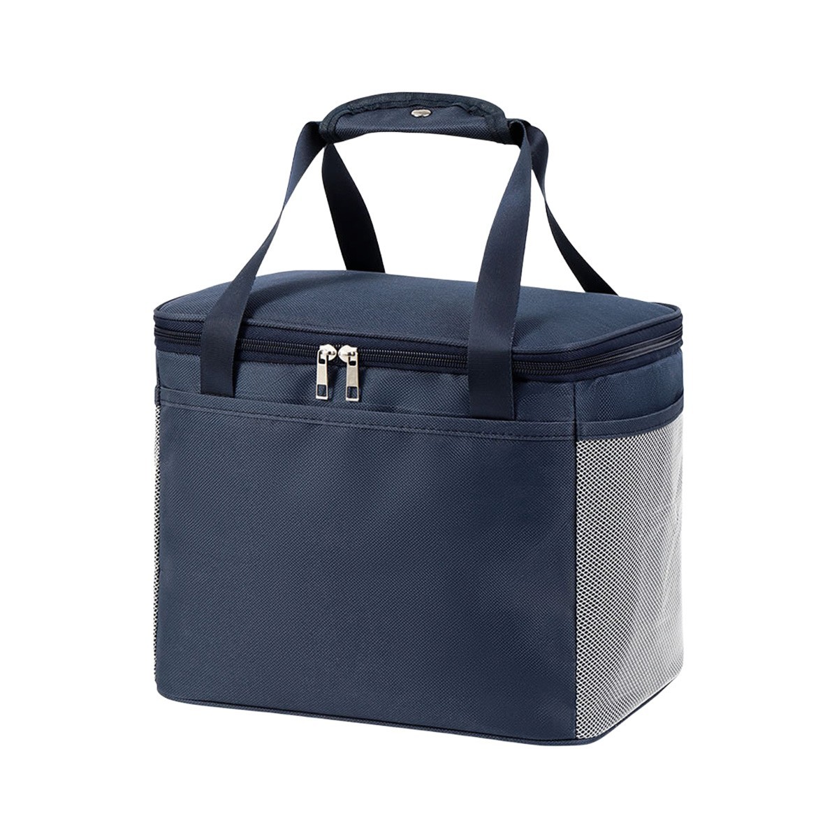 Picnic Insulated Lunch Bag