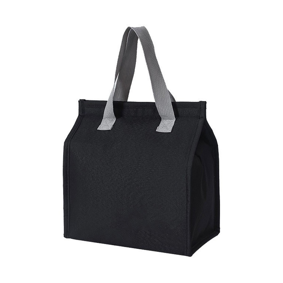 Insulated Lunch Tote Bag