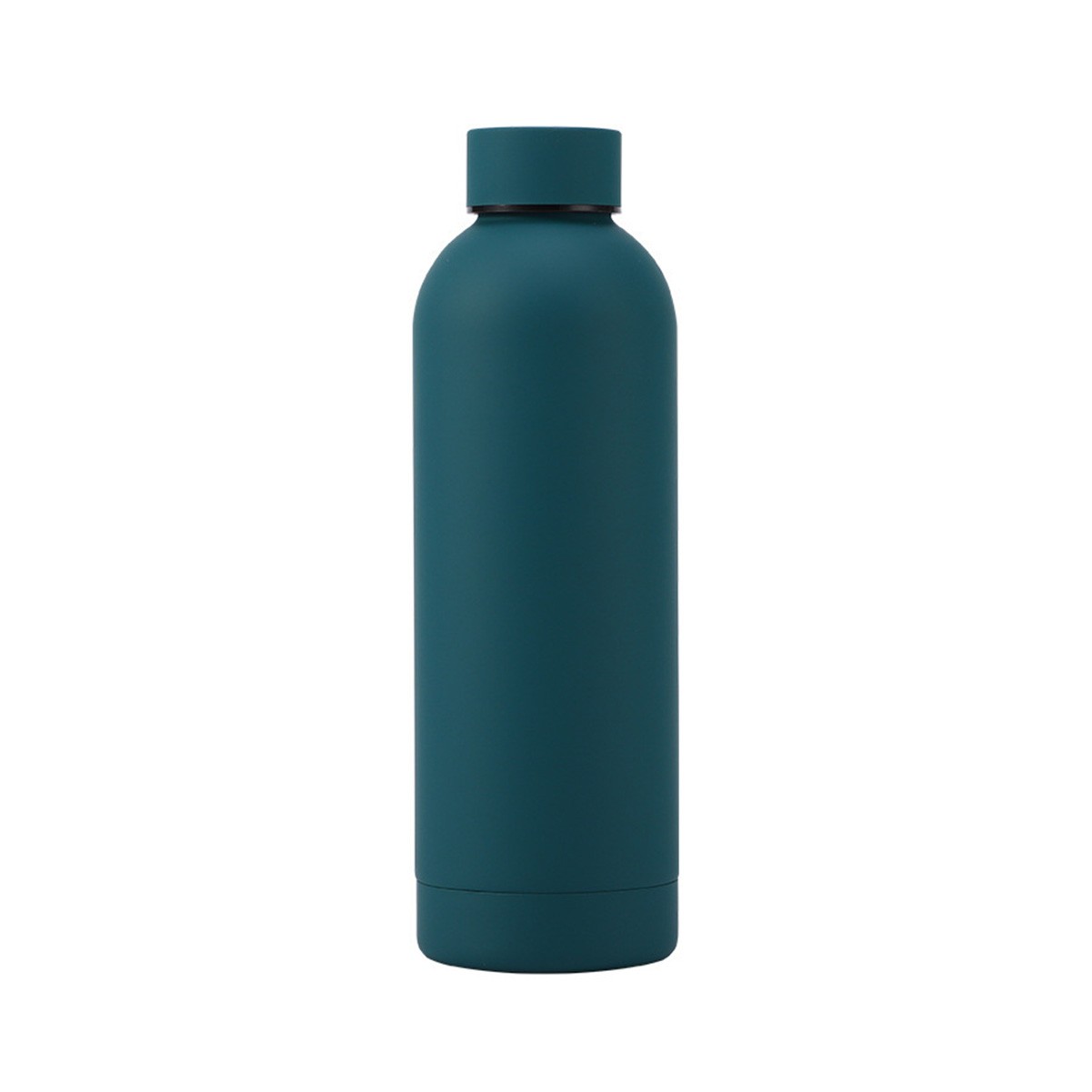 16.9 oz Stainless Steel Insulated Water Bottle