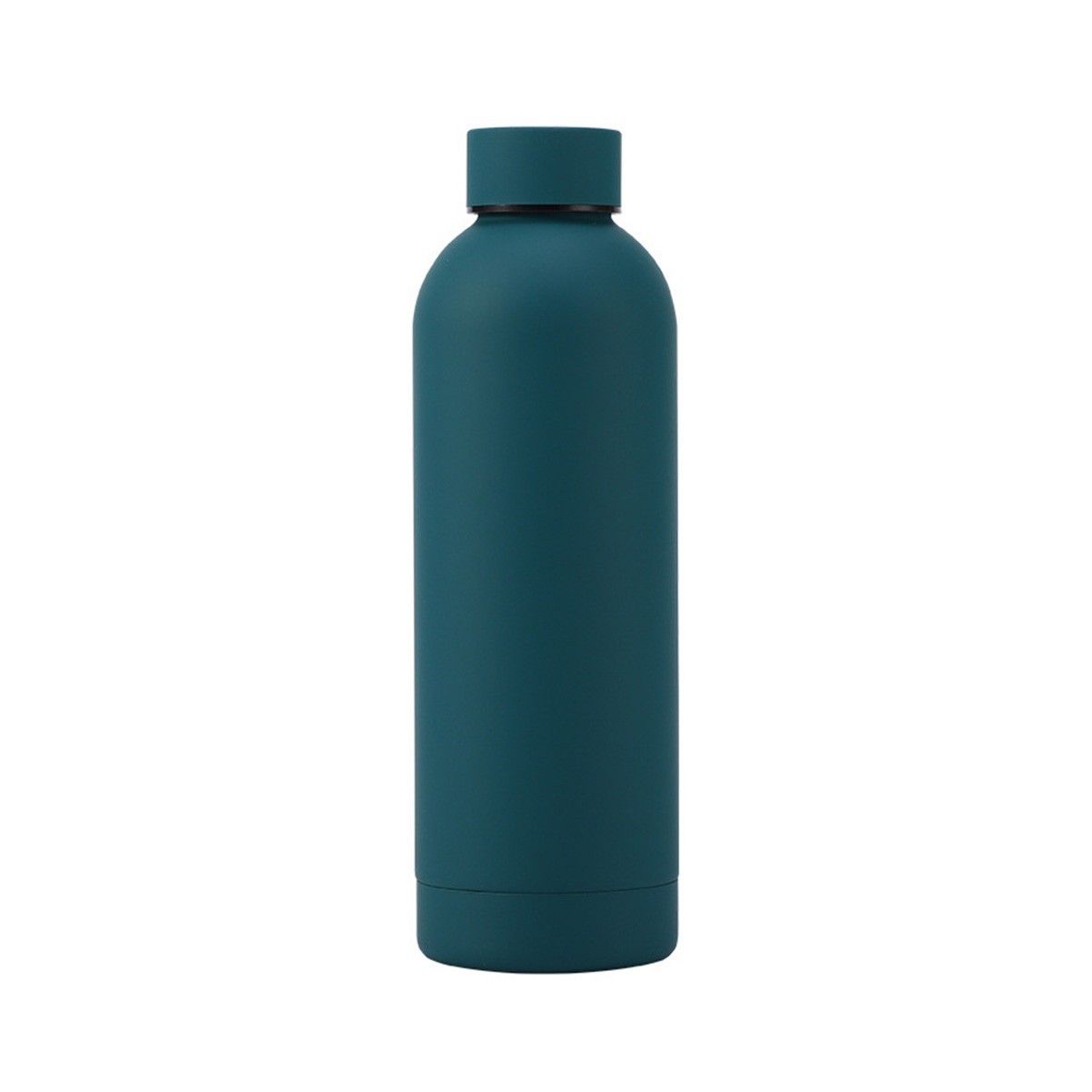 16.9 oz Stainless Steel Insulated Water Bottle