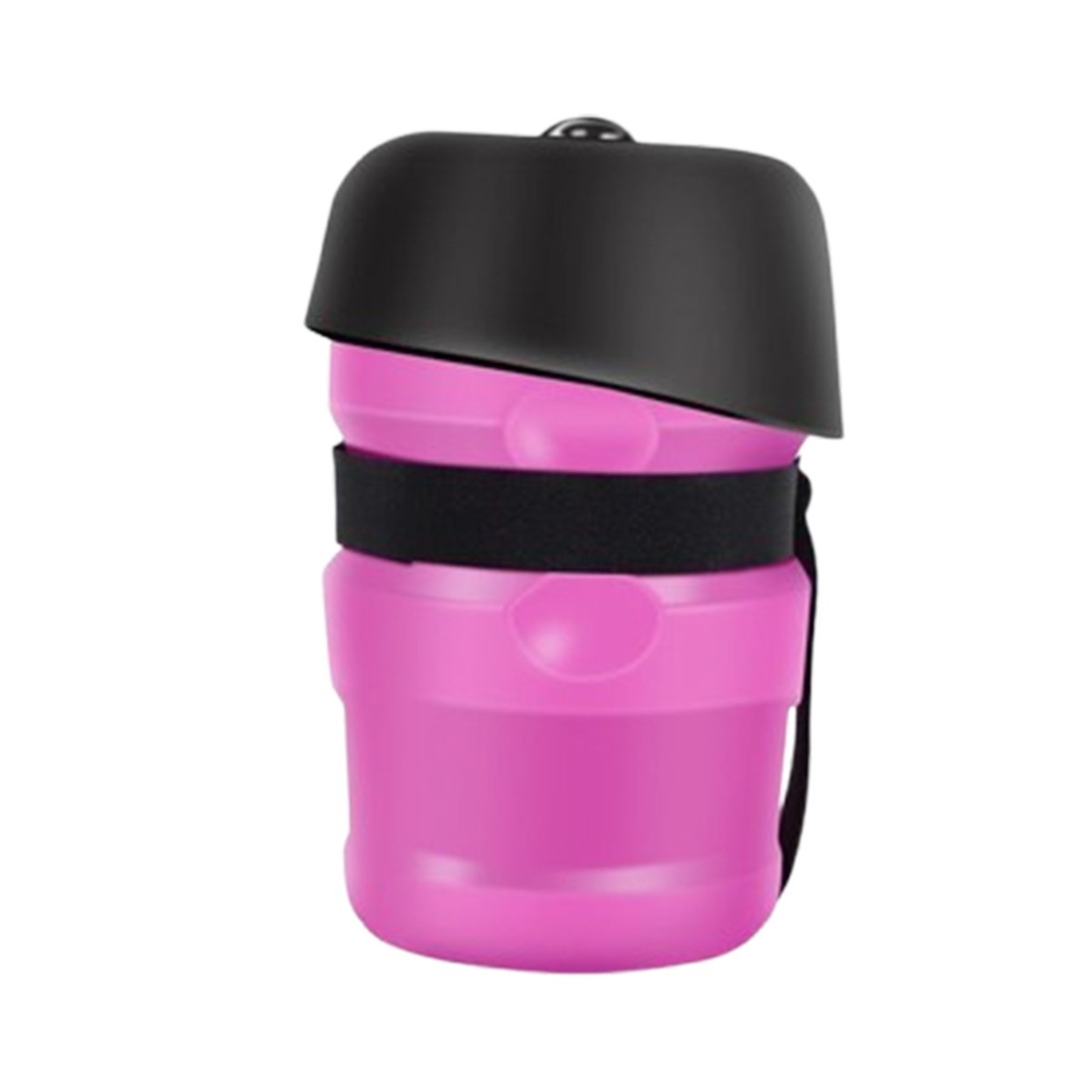 20oz Dog Water Bottle