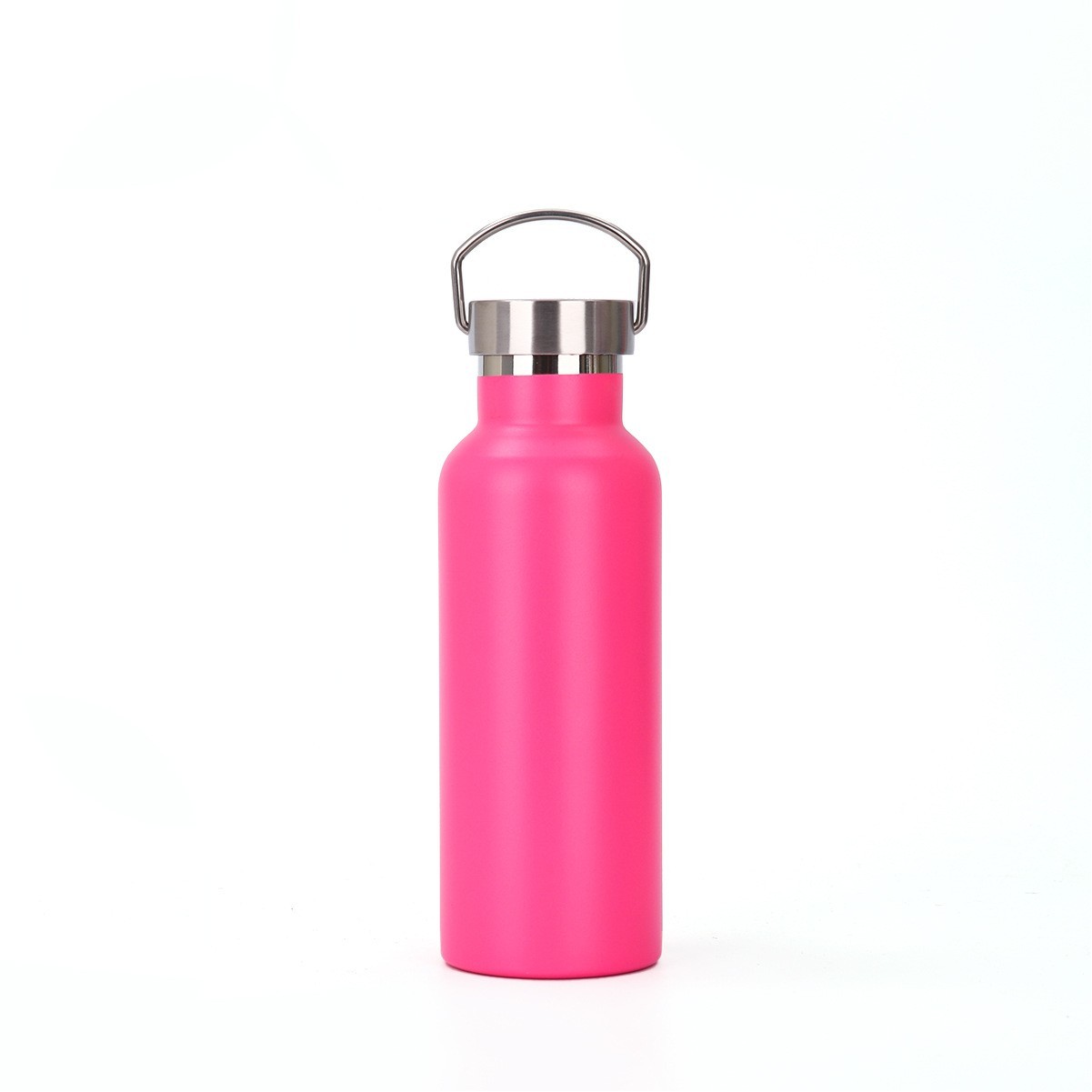 20oz Stainless Steel Water Bottle