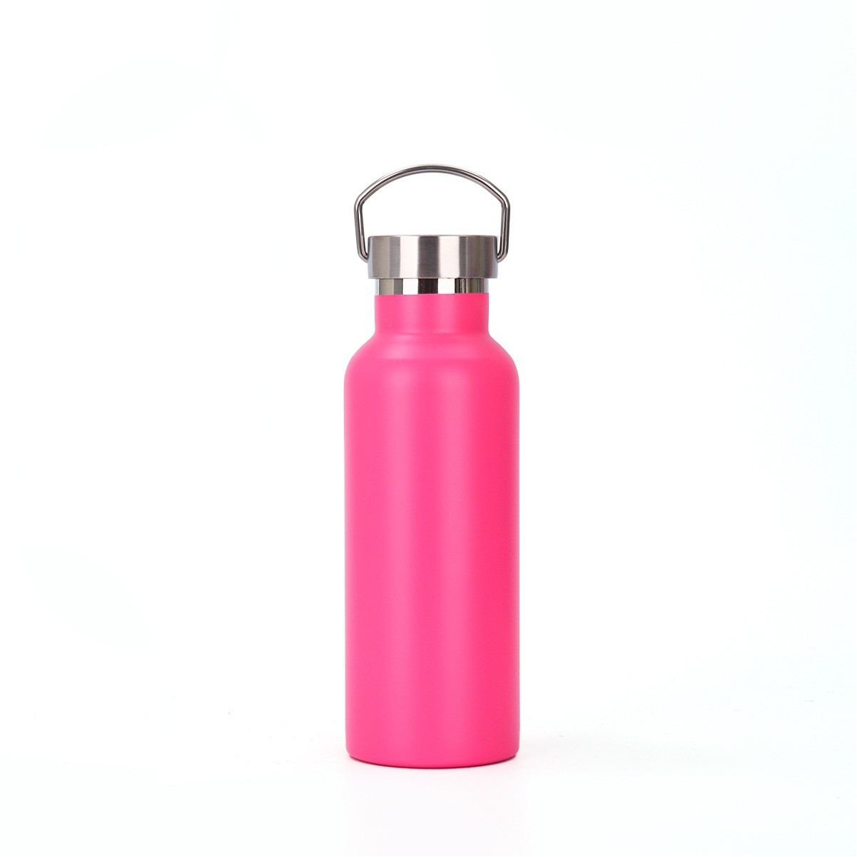 20oz Stainless Steel Water Bottle