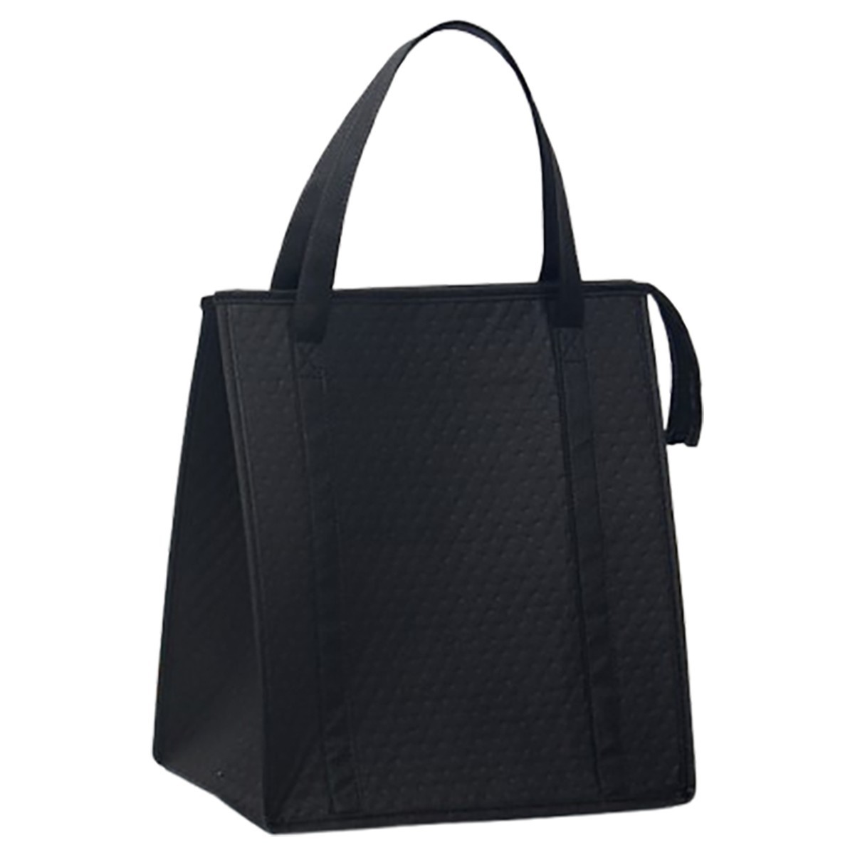 Insulated Lunch Bag