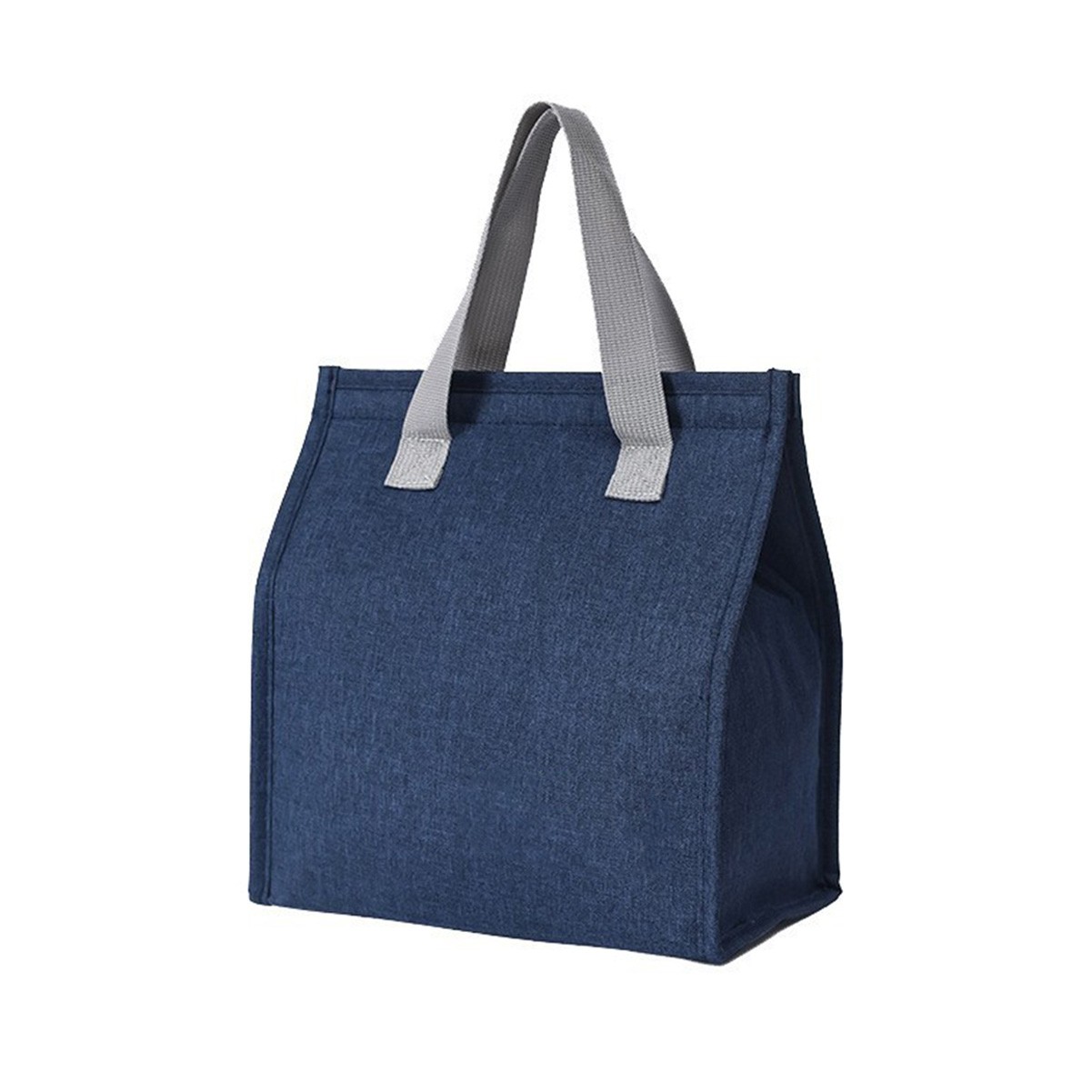 Insulated Lunch Tote Bag