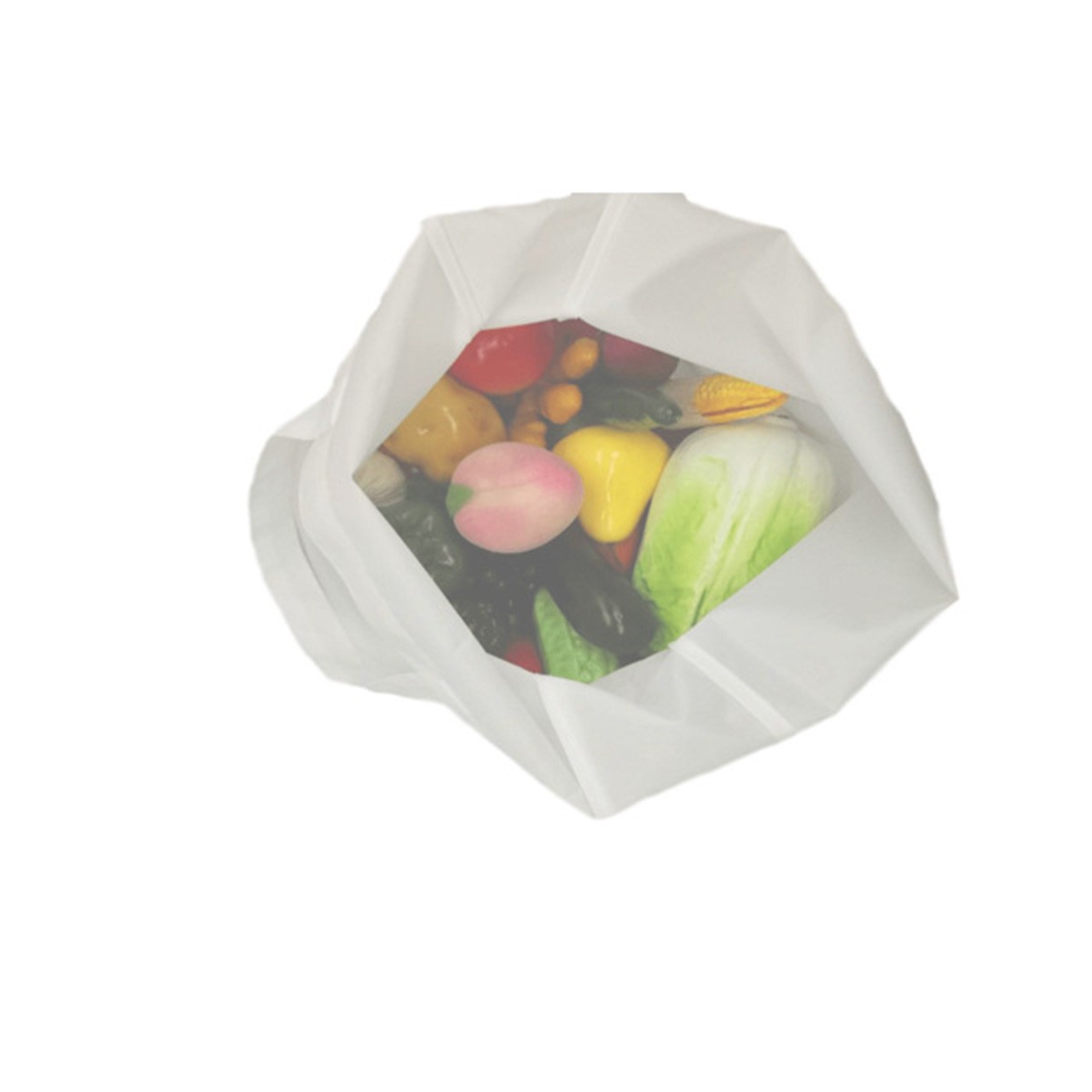 Large Transparent Tote Bag