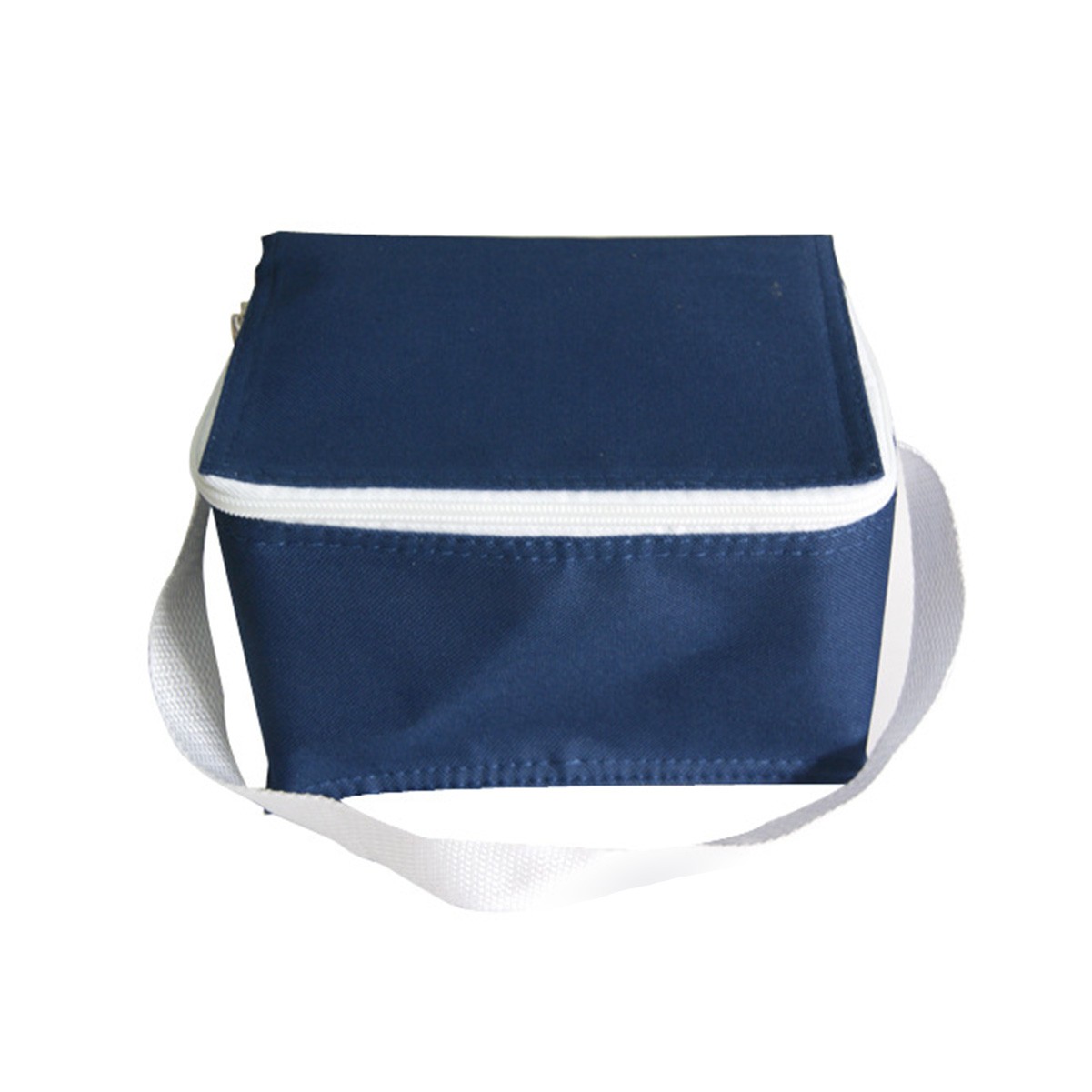 Insulated Cooler Tote Bag