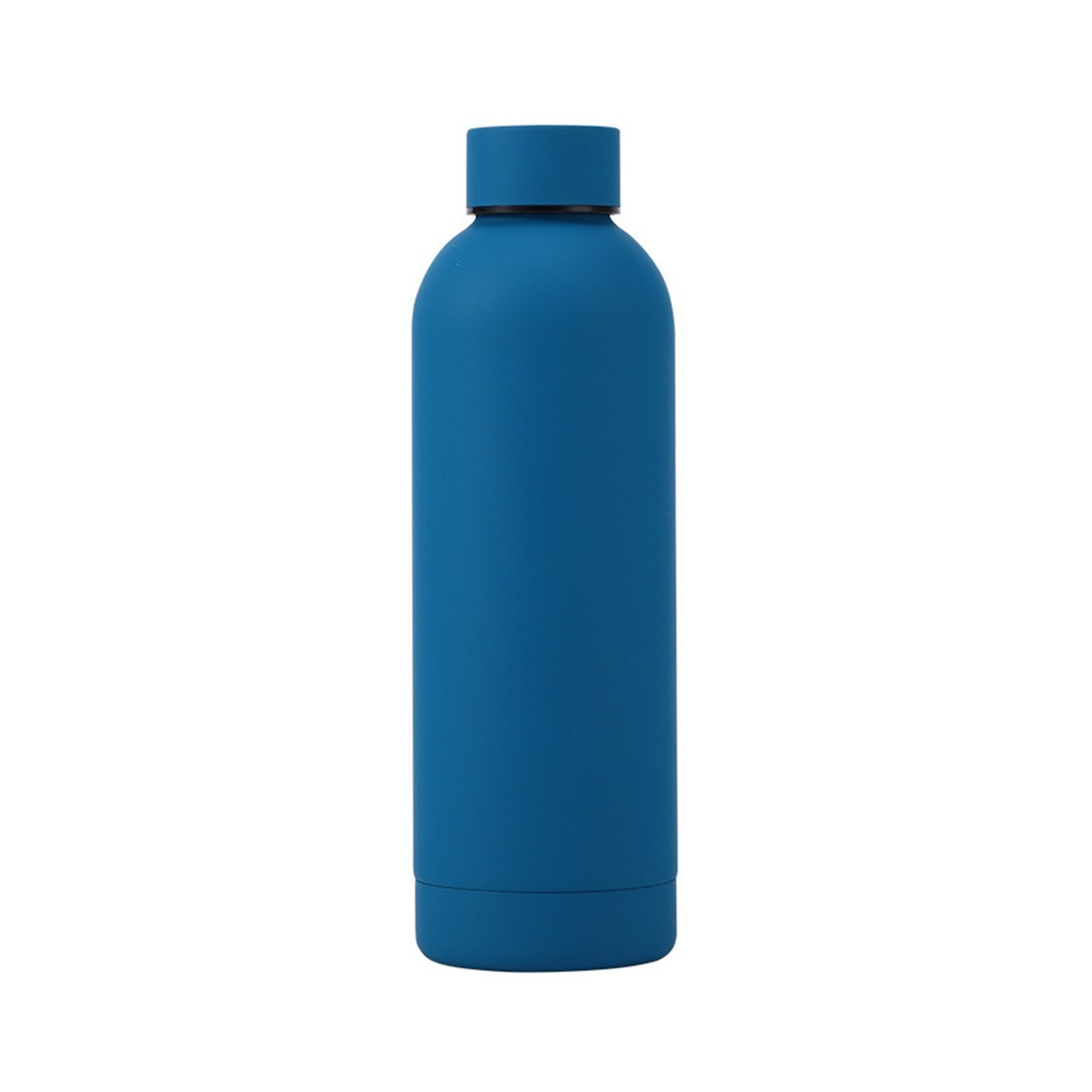 16.9 oz Stainless Steel Insulated Water Bottle