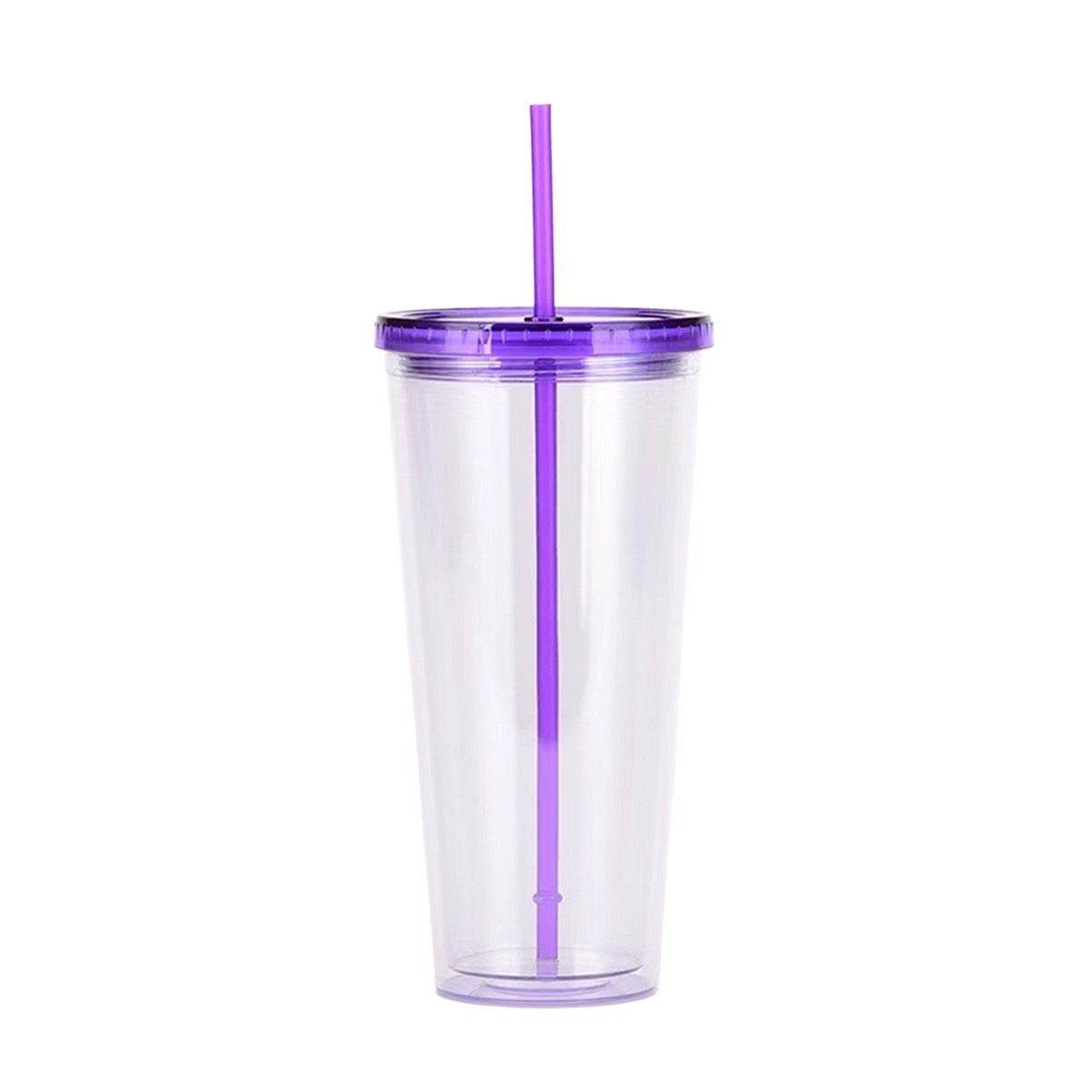 24oz Insulated Double Wall Tumbler with Screw-On Lid and Straw
