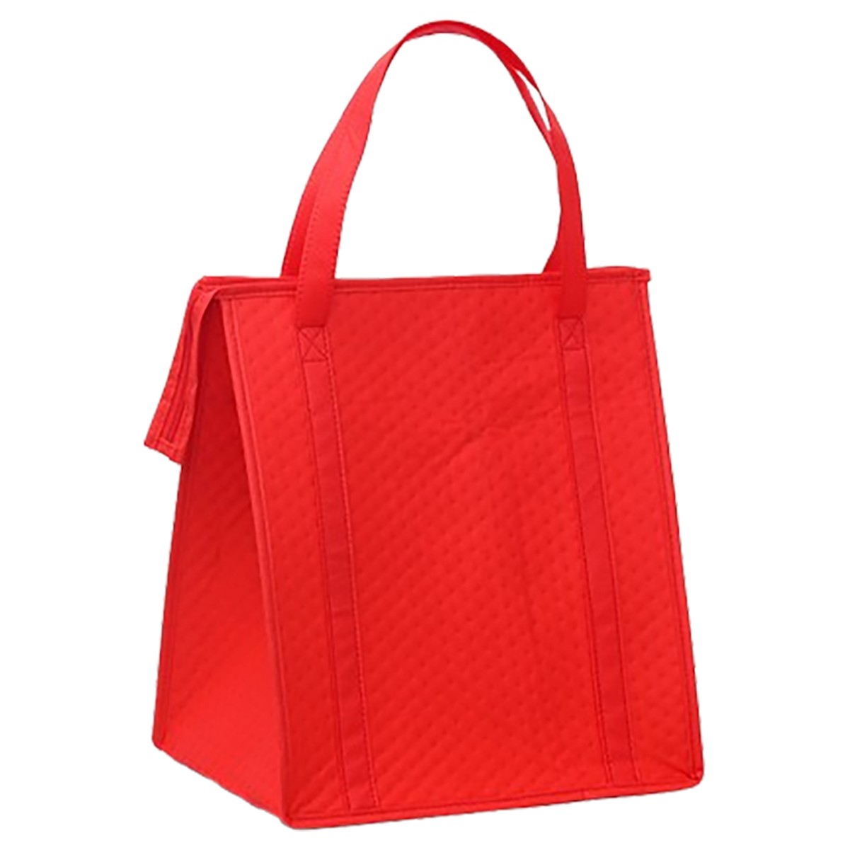 Insulated Lunch Bag