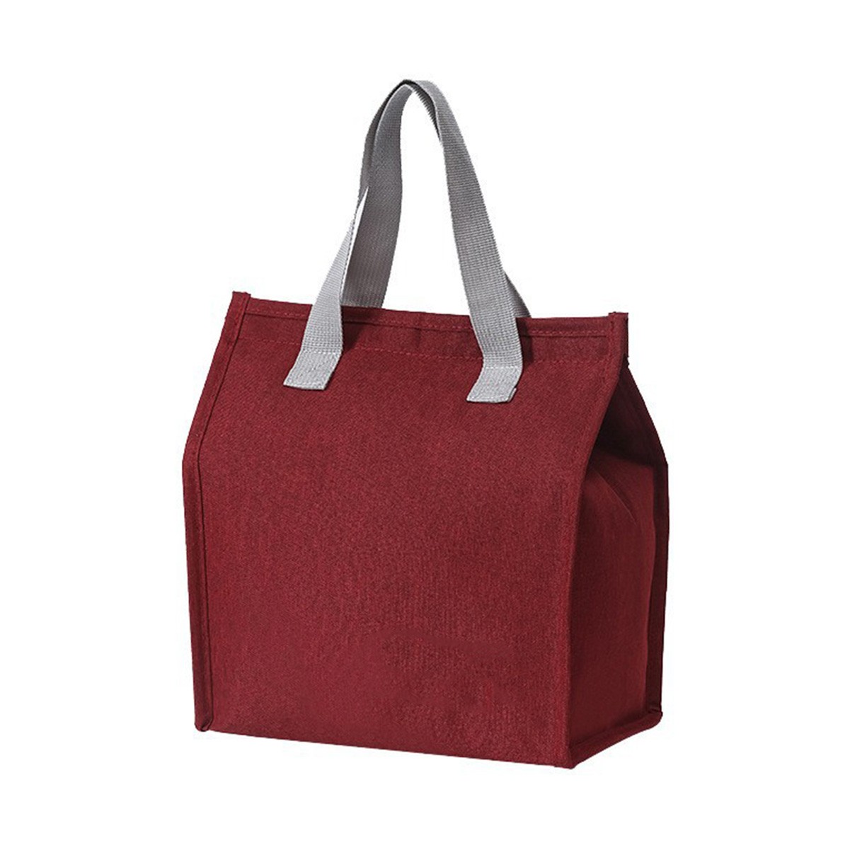Insulated Lunch Tote Bag