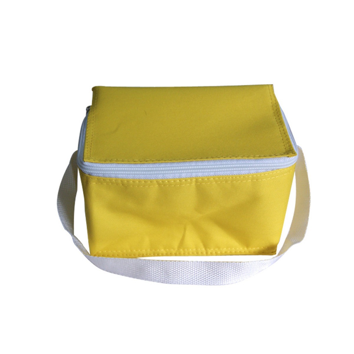 Insulated Cooler Tote Bag