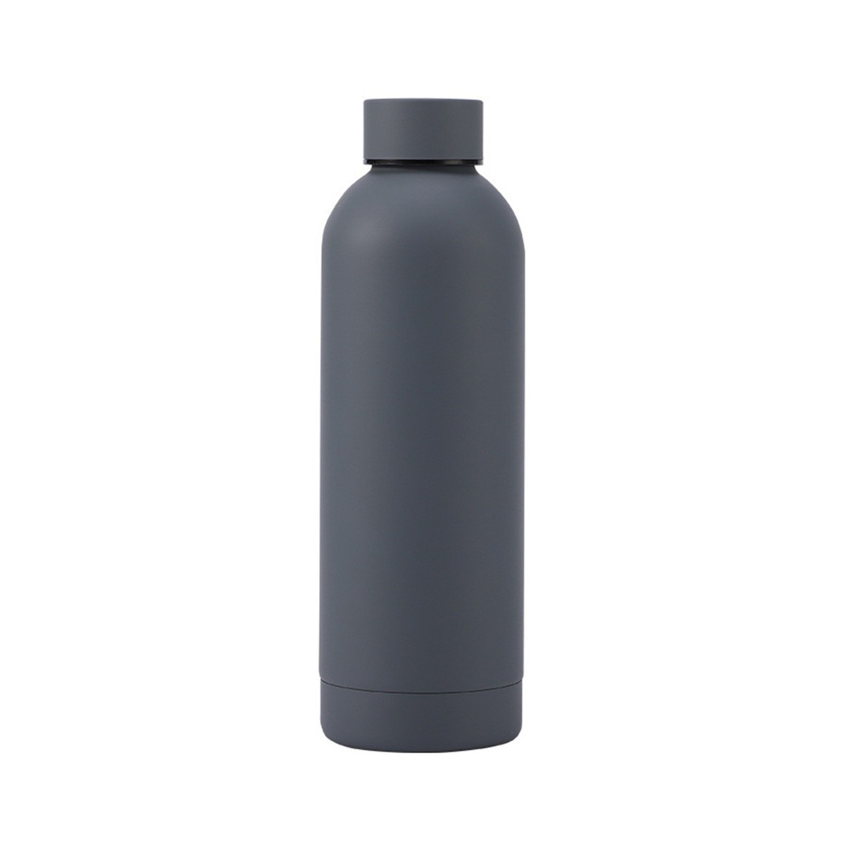 16.9 oz Stainless Steel Insulated Water Bottle