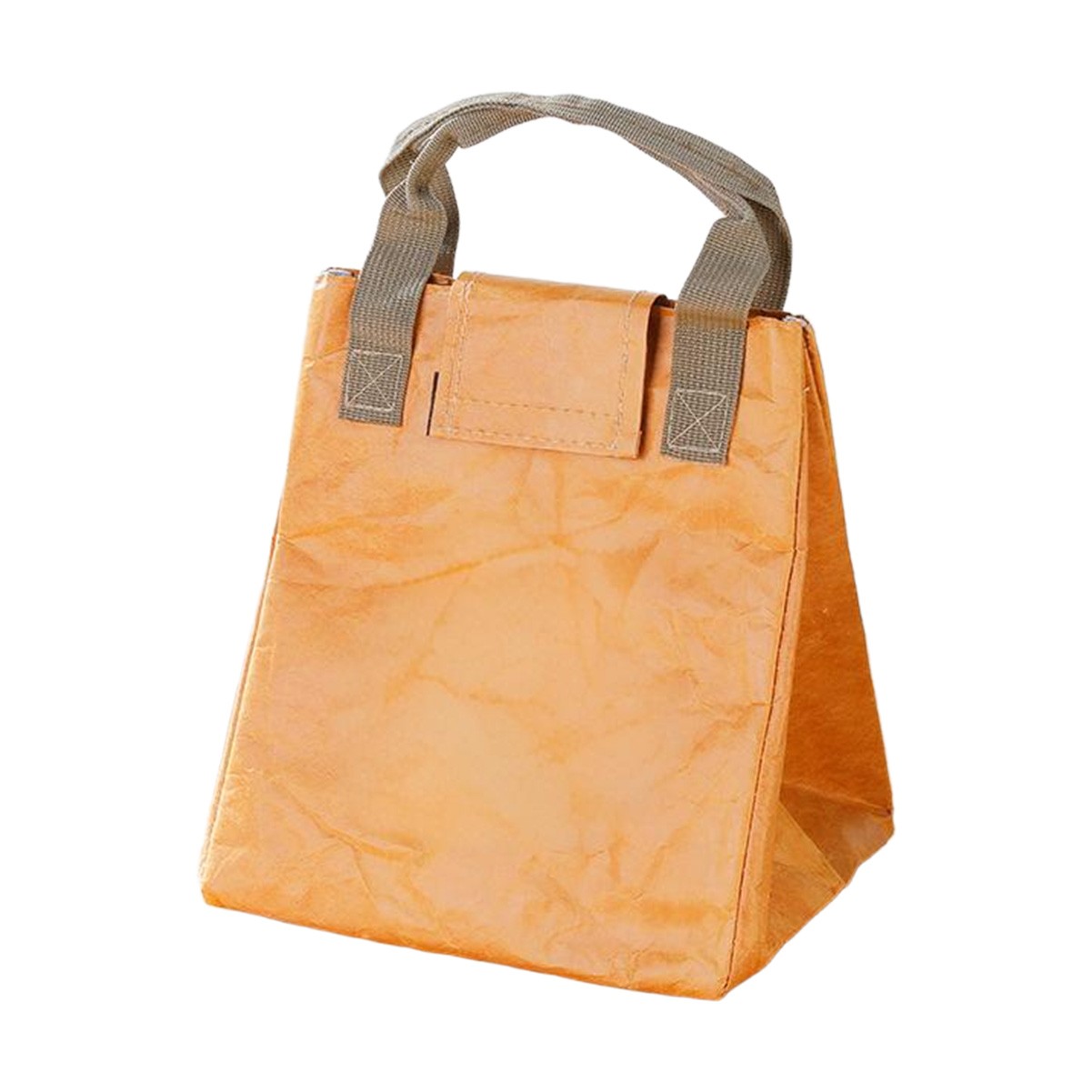Eco-Friendly Waterproof Insulated Lunch Tote Bag