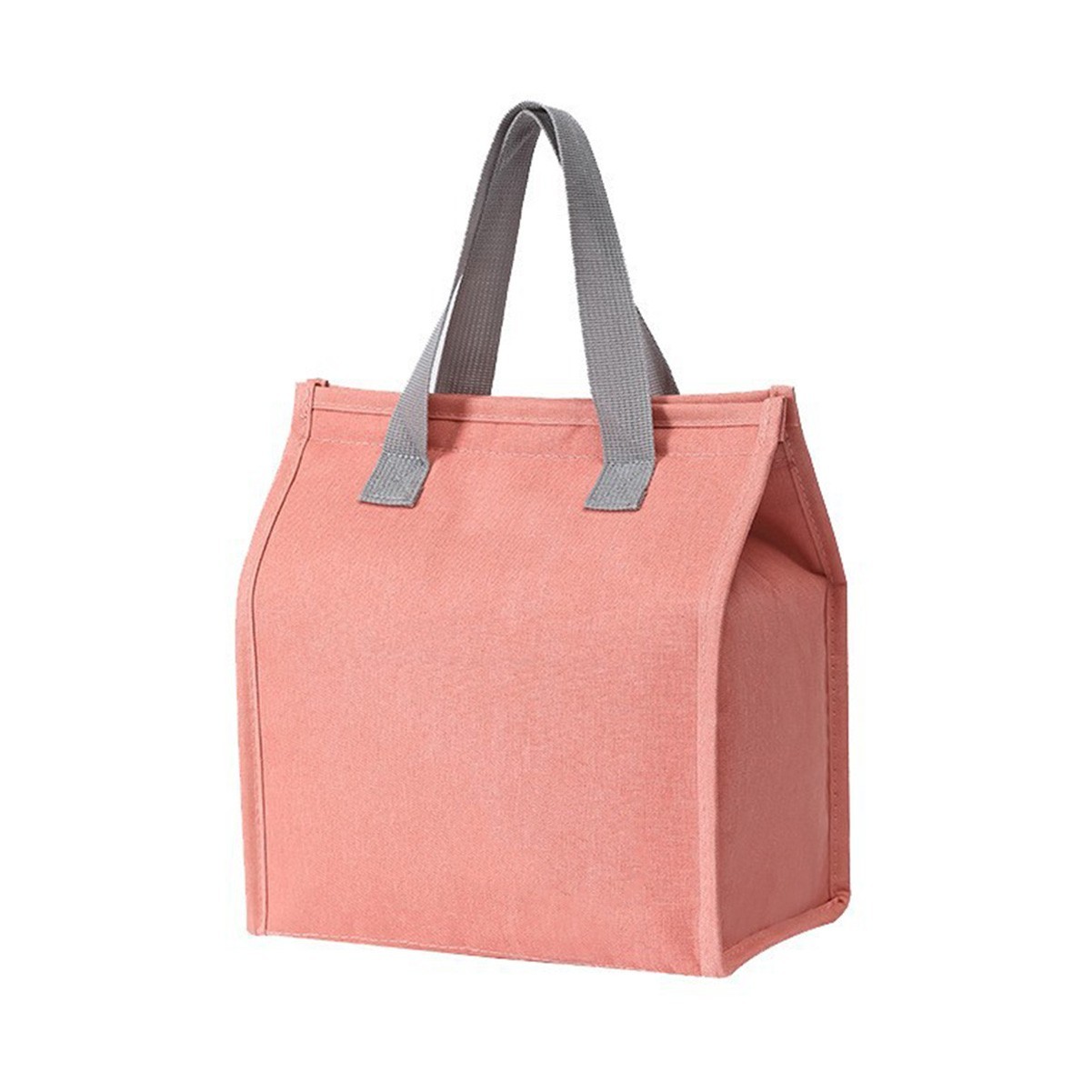Insulated Lunch Tote Bag
