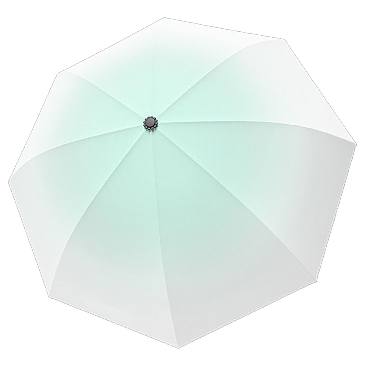 Polyester Invisibility Coated Water Resistant 10 Rib Umbrella