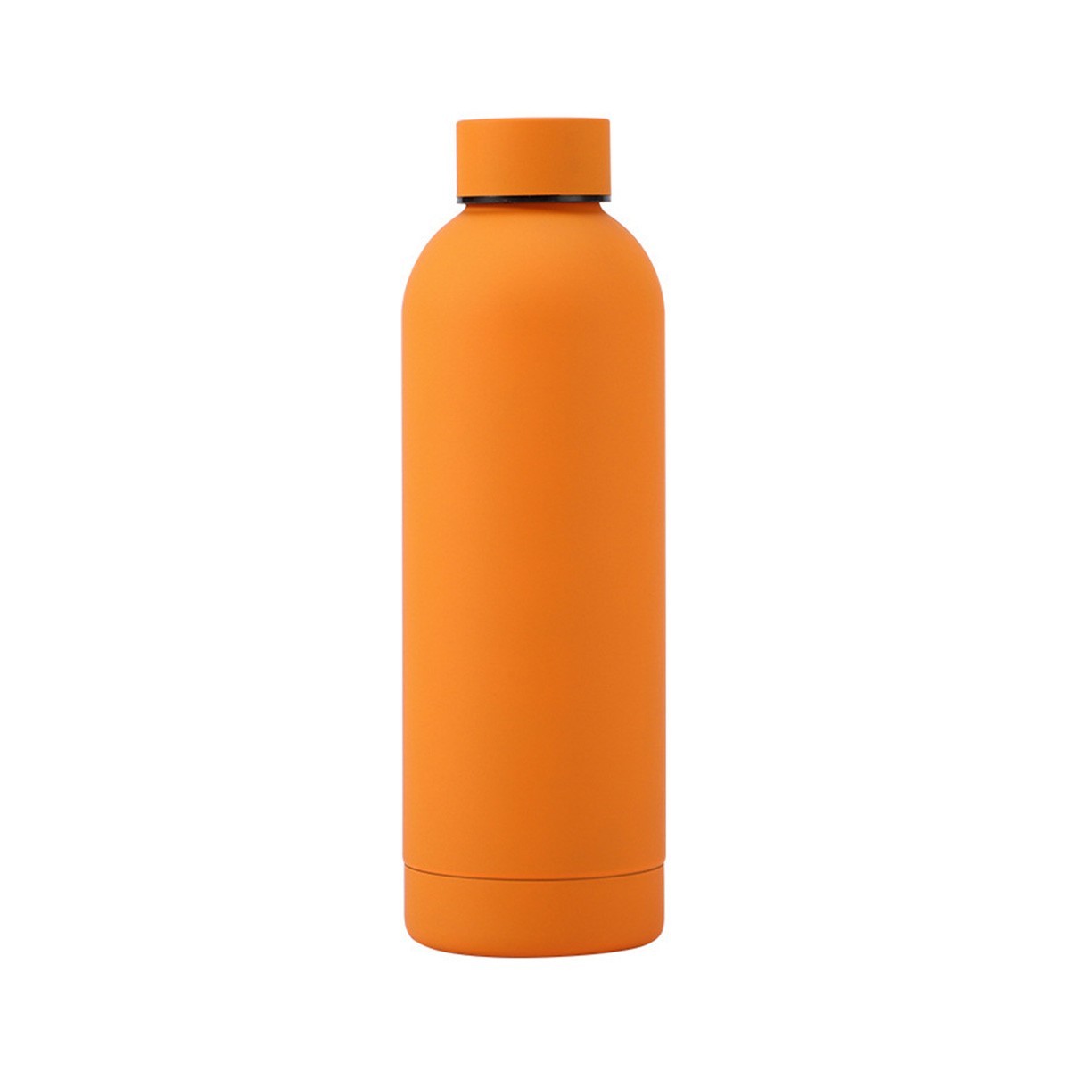16.9 oz Stainless Steel Insulated Water Bottle