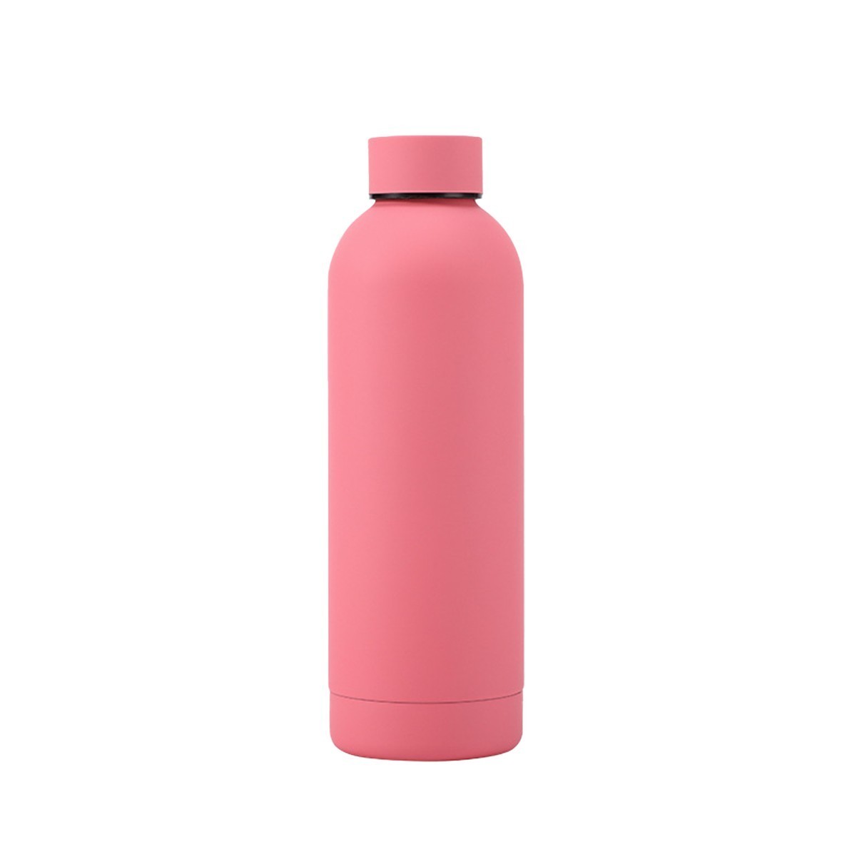 17oz Reusable Stainless Steel Frosted Water Bottle