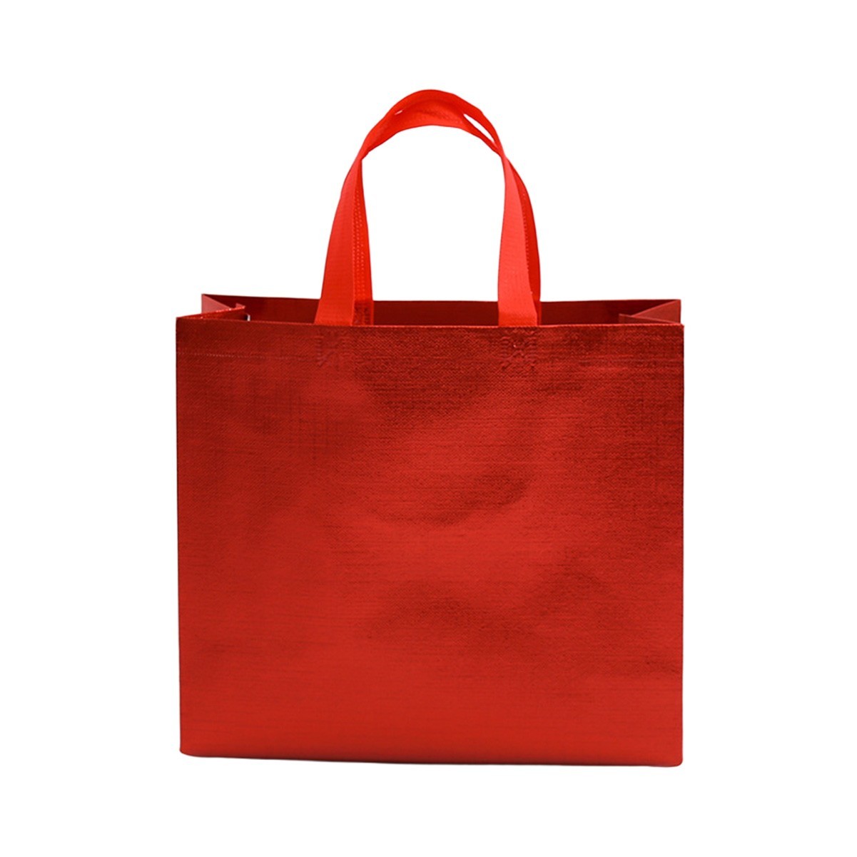 Laser Laminate Non-Woven Gift Bag