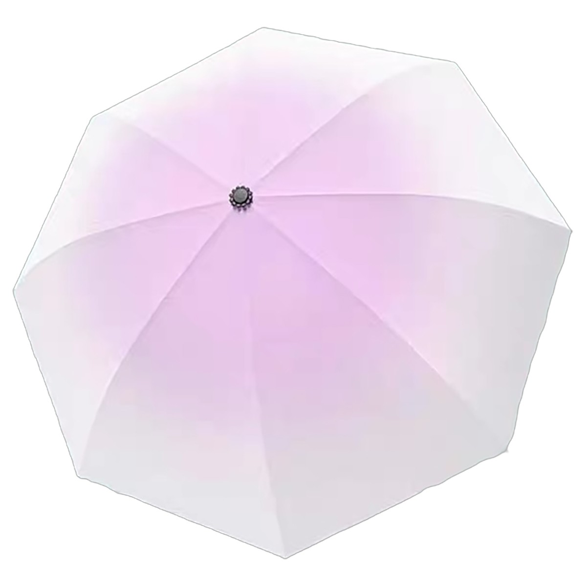 Polyester Invisibility Coated Water Resistant 10 Rib Umbrella