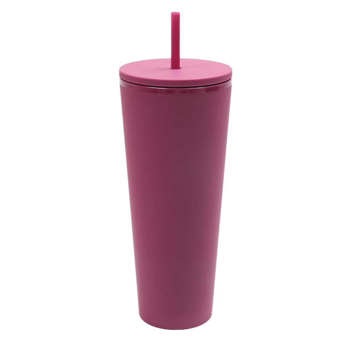 24 Oz Double Layer Insulated Tumbler with Flush Lids and Sturdier Straws