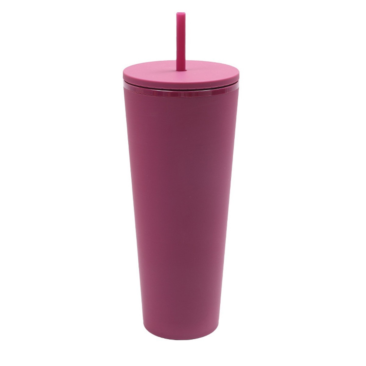 24 Oz Double Layer Insulated Tumbler with Flush Lids and Sturdier Straws