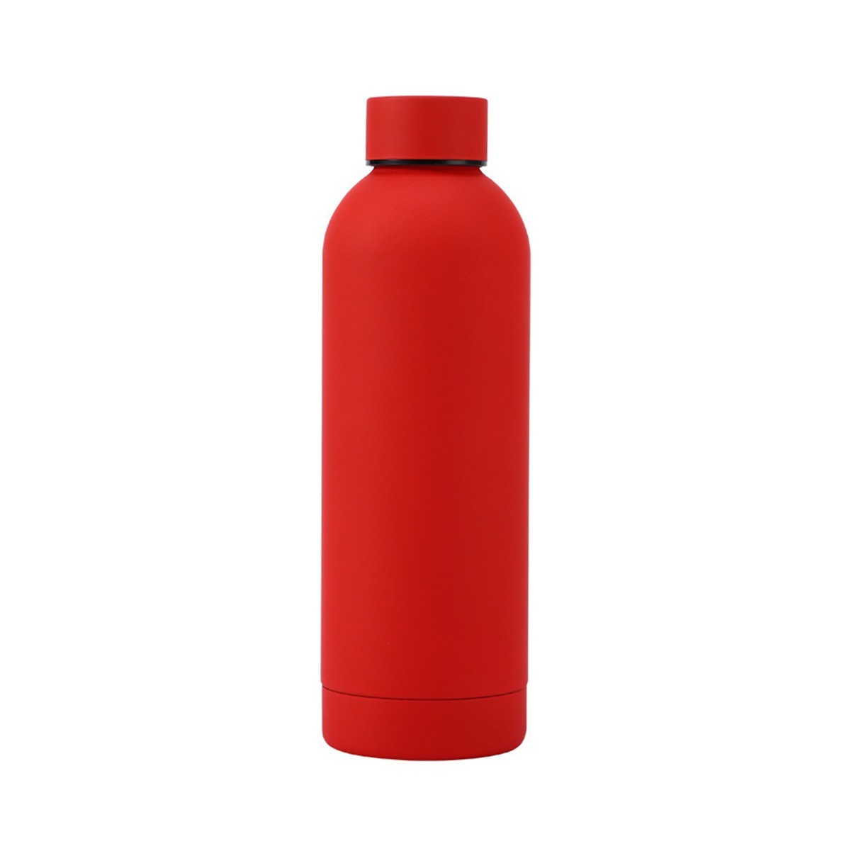16.9 oz Stainless Steel Insulated Water Bottle