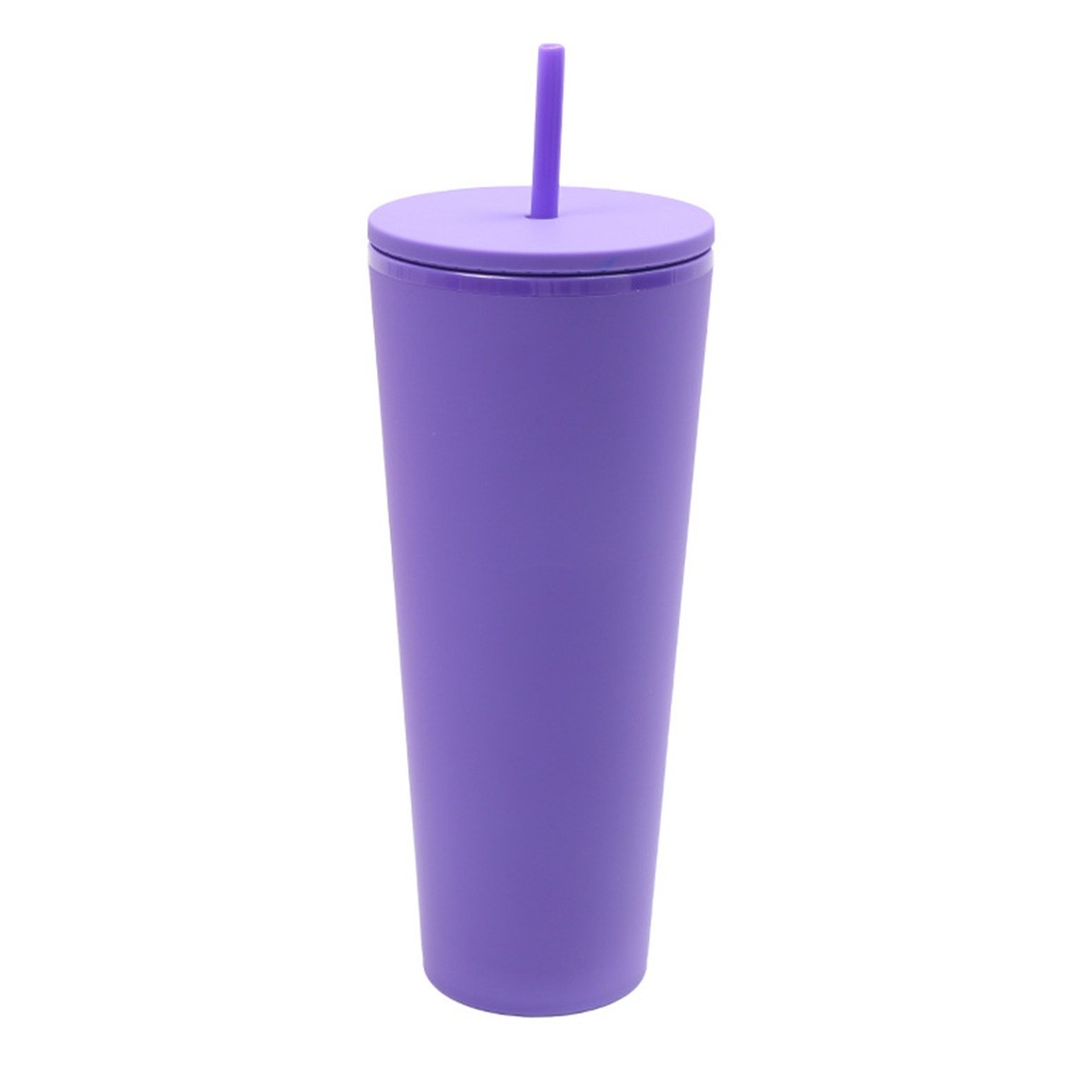 24 Oz Double Layer Insulated Tumbler with Flush Lids and Sturdier Straws