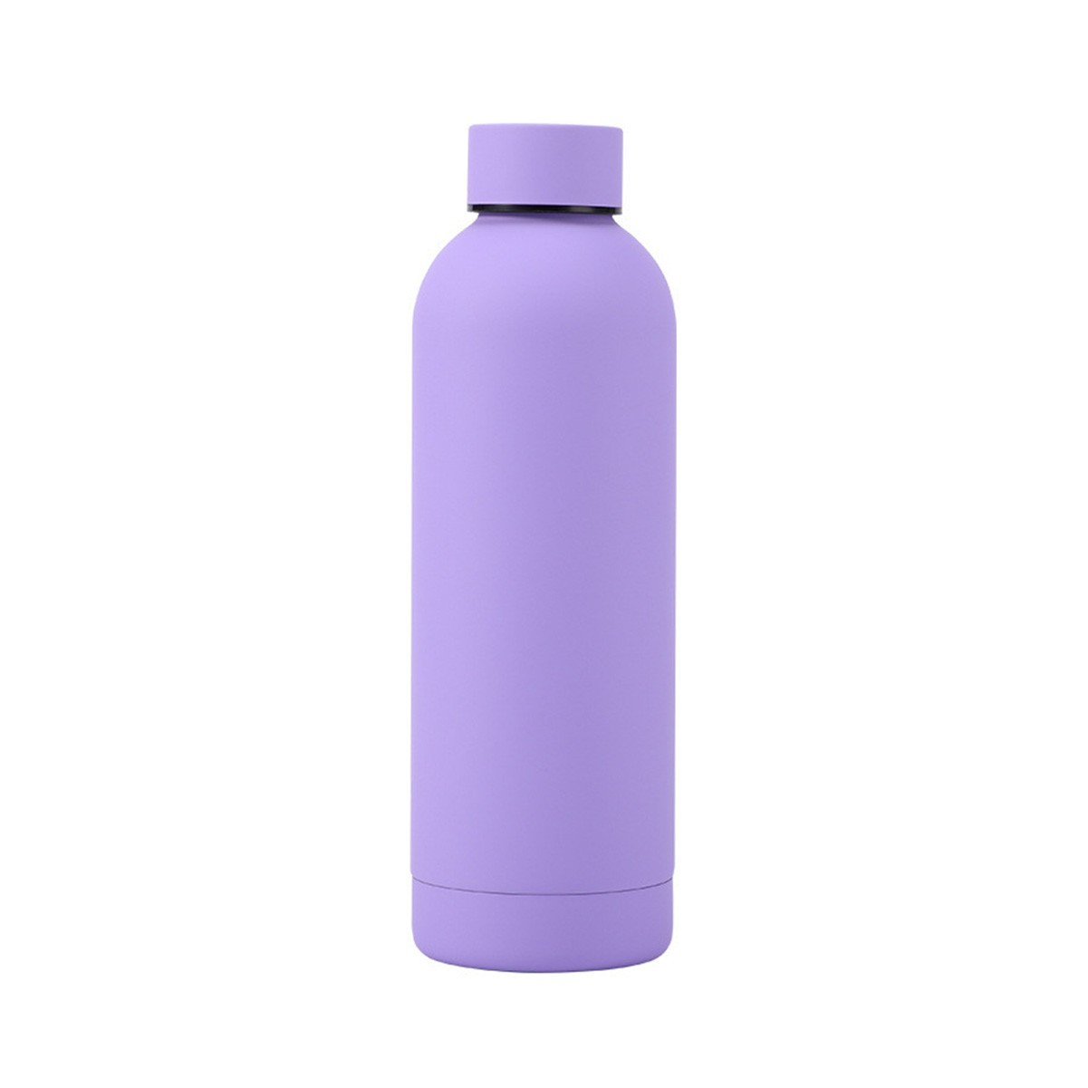 16.9 oz Stainless Steel Insulated Water Bottle