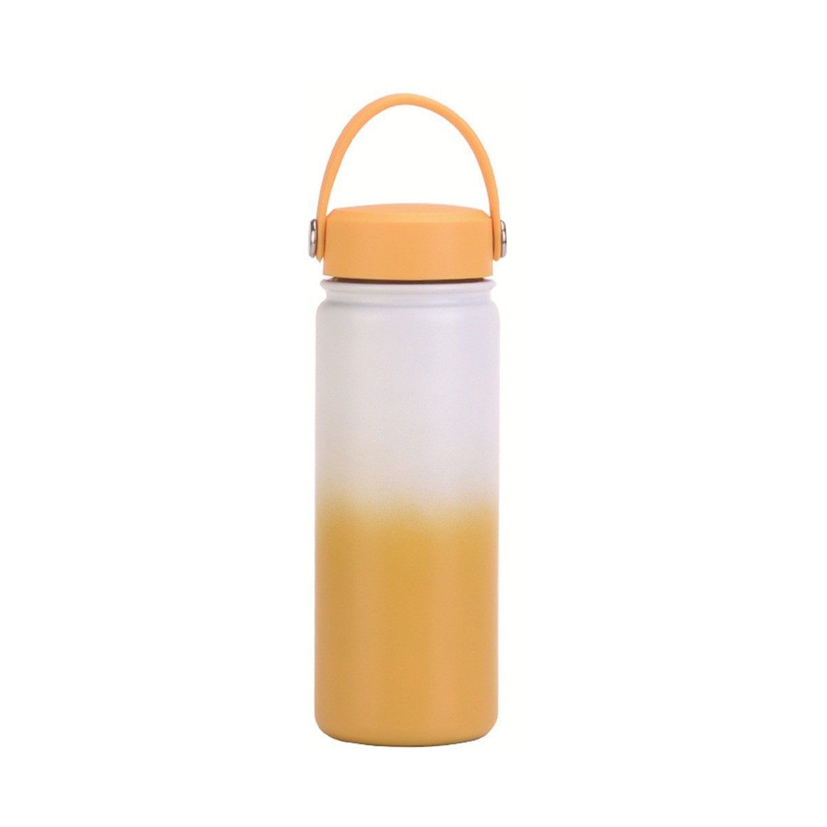 18.6 oz Insulated Stainless Steel Drink Tumbler