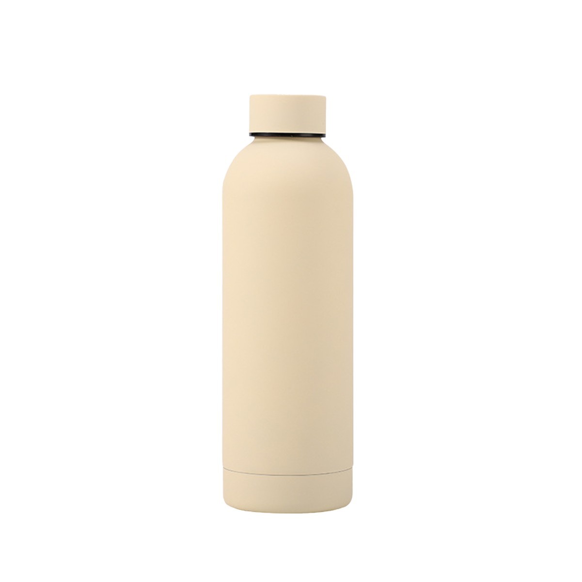 17oz Reusable Stainless Steel Frosted Water Bottle