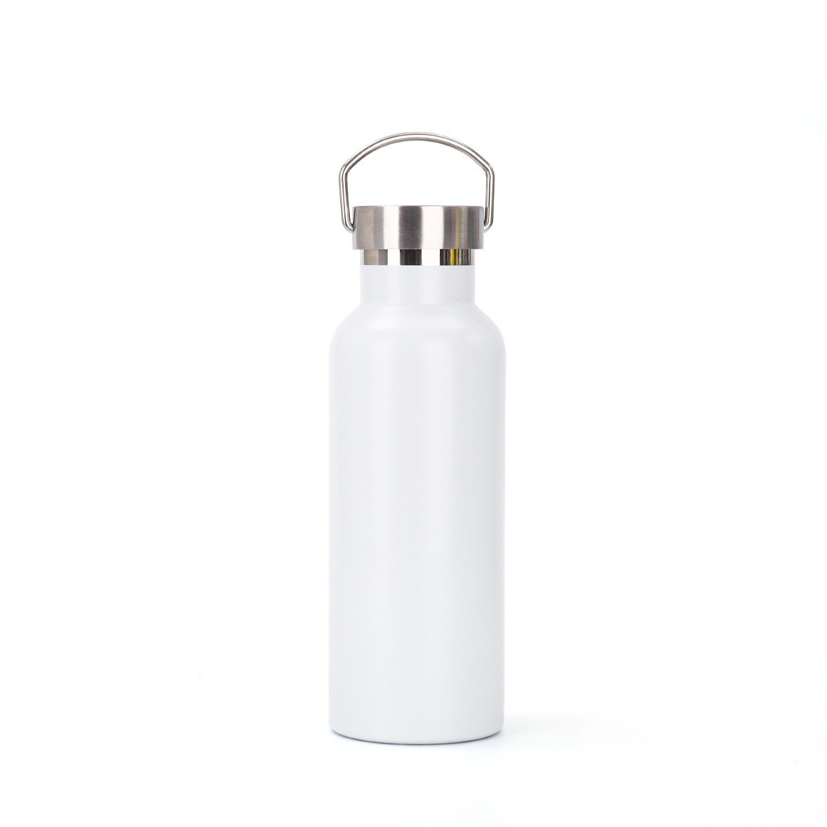 20oz Stainless Steel Water Bottle