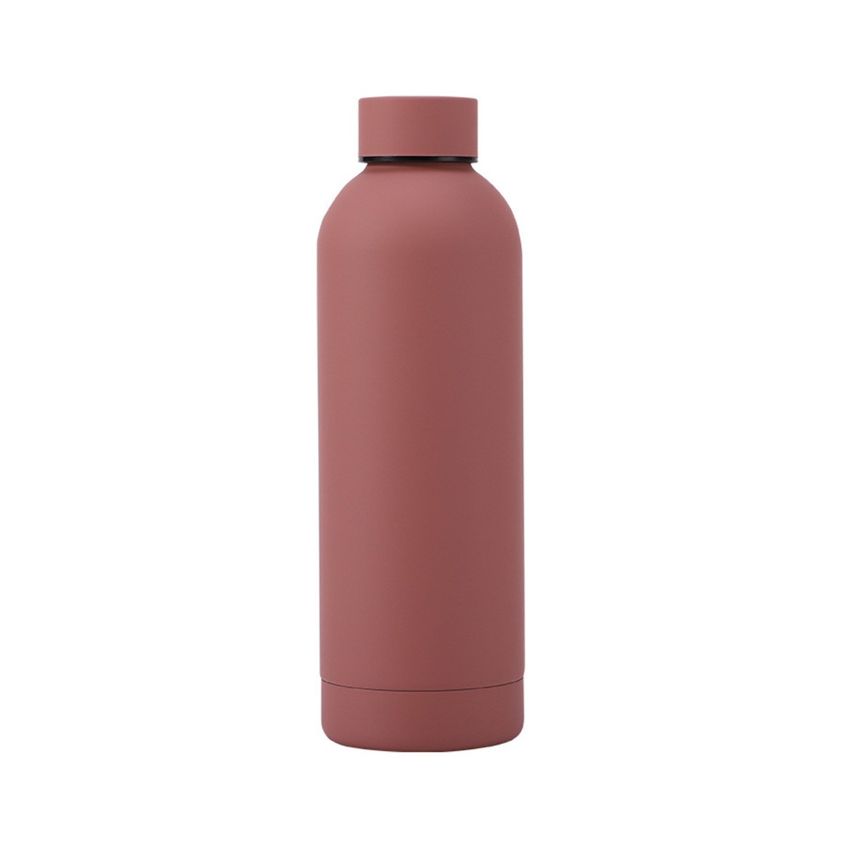 16.9 oz Stainless Steel Insulated Water Bottle