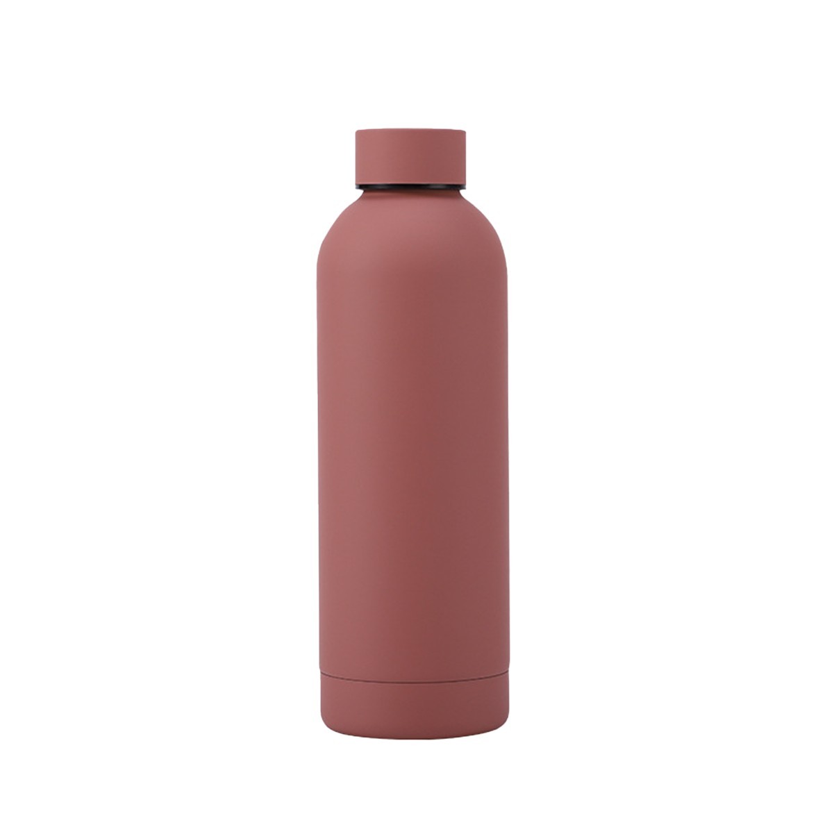 17oz Reusable Stainless Steel Frosted Water Bottle