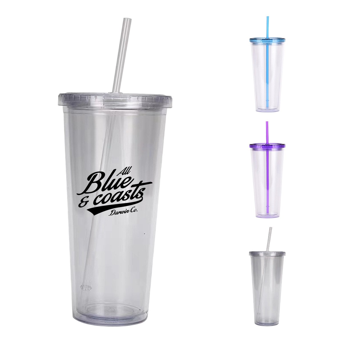 24oz Insulated Double Wall Tumbler with Screw-On Lid and Straw