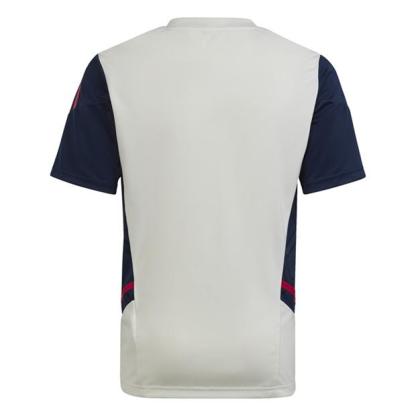 Arsenal Training Shirt 2022/23 Juniors