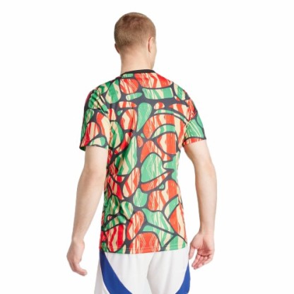 Arsenal Pre Match Shirt 2024/25 Adults