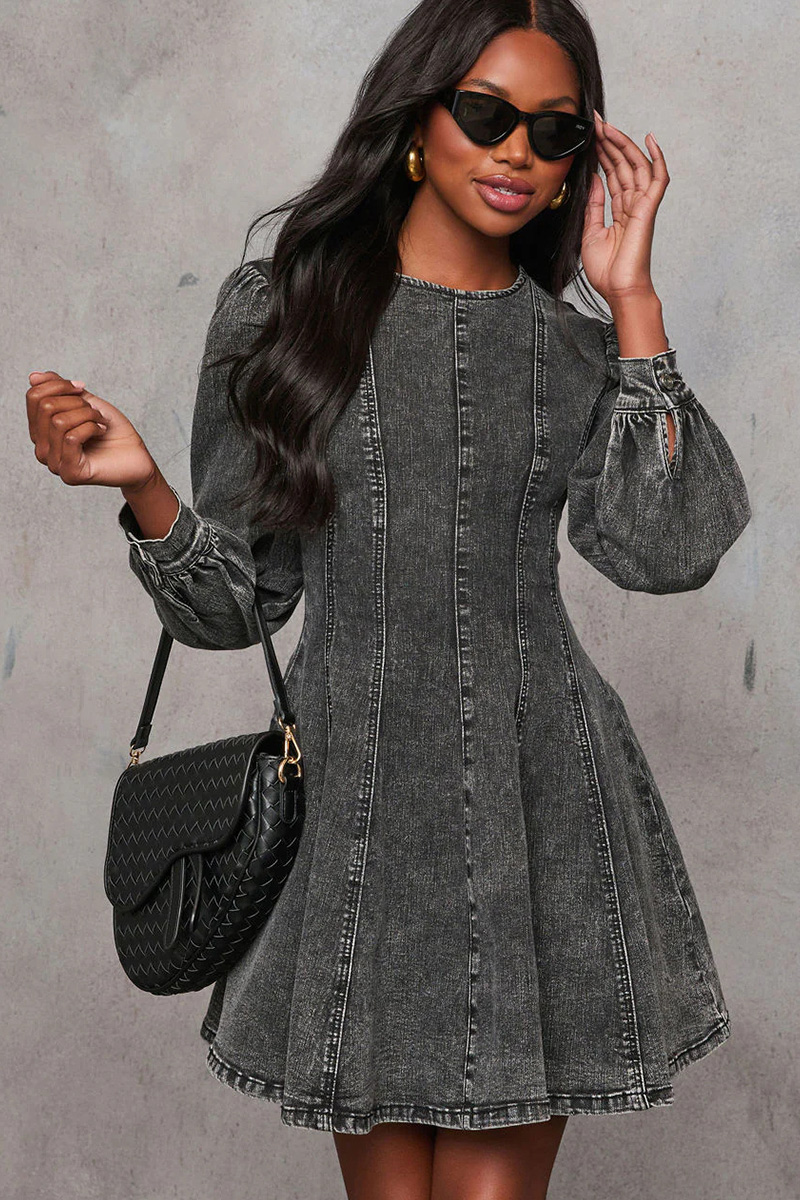Women's Elegant Denim Panel Dress