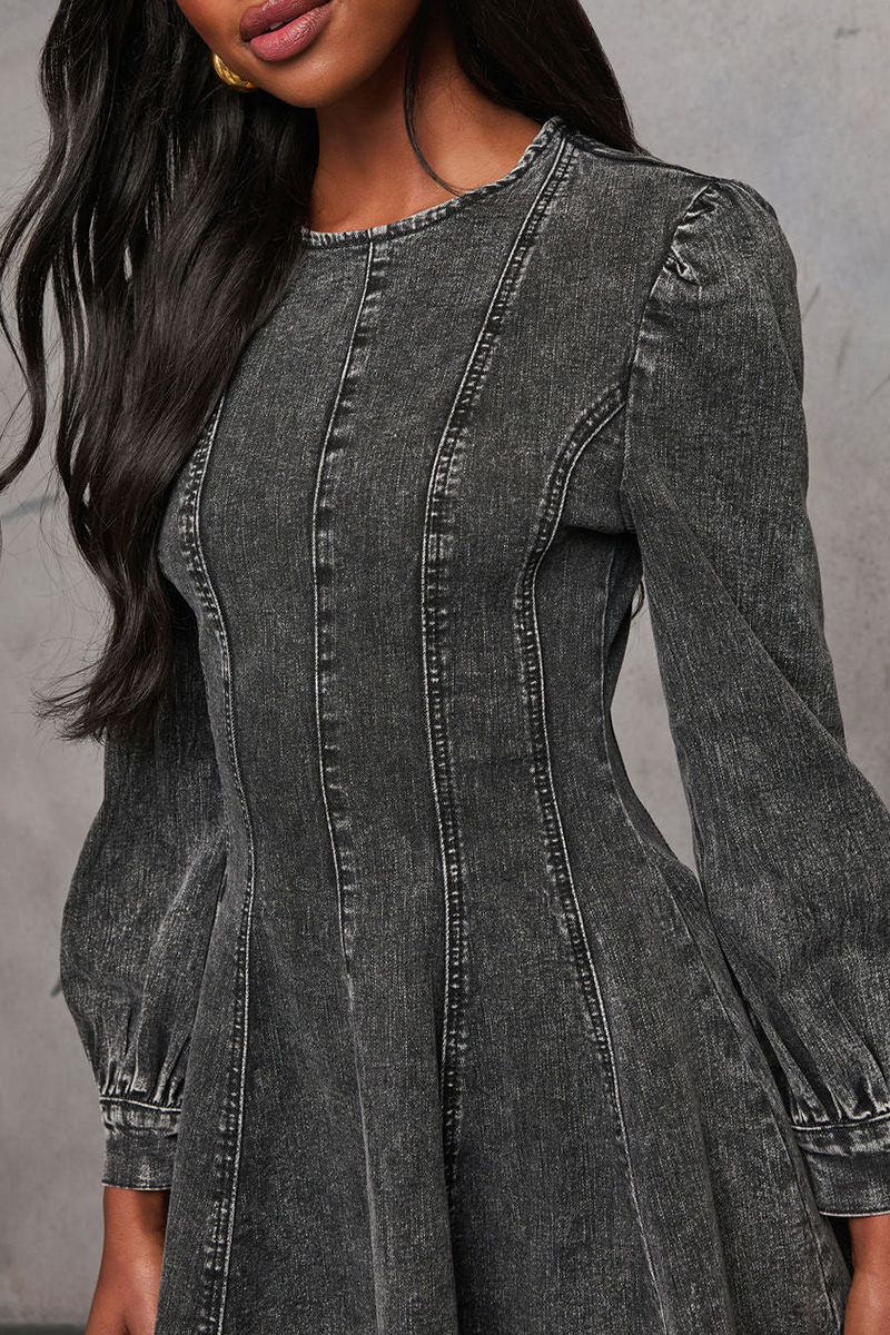 Women's Elegant Denim Panel Dress
