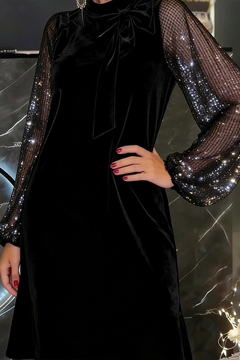 Ladies' Elegant Velvet Dress With Sheer Sleeves
