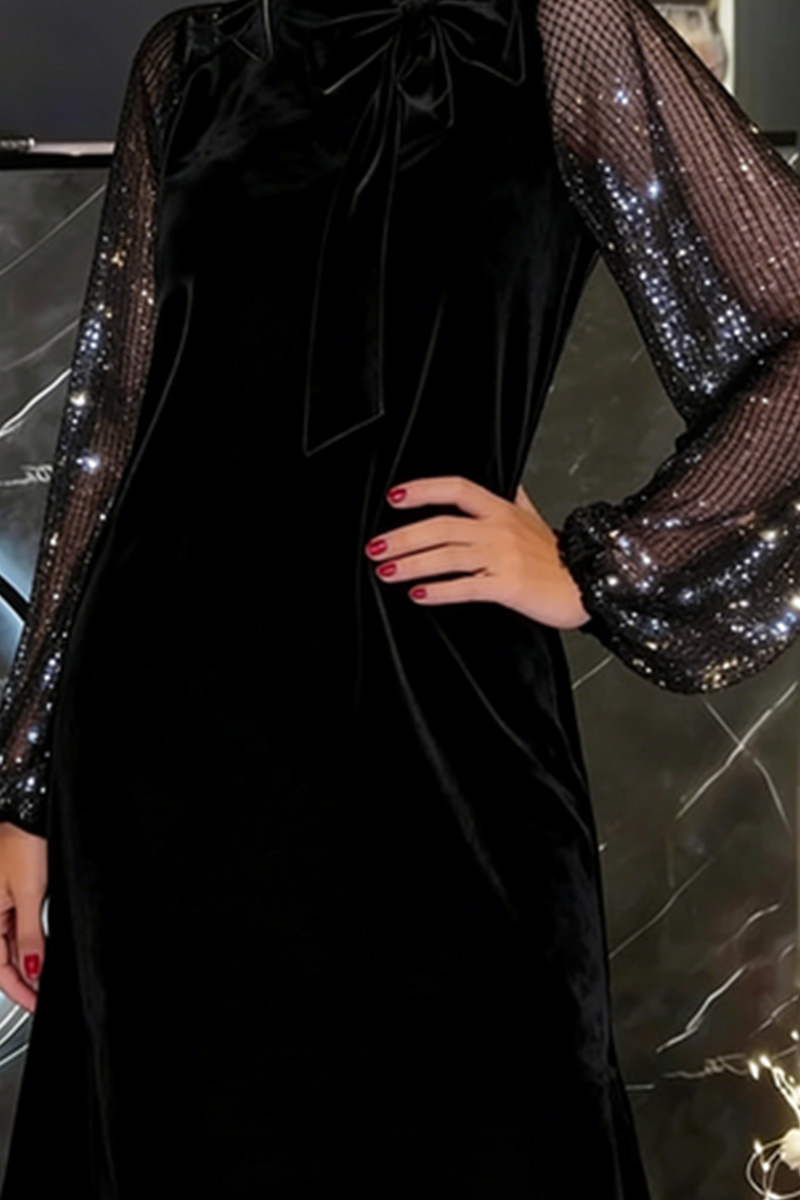 Ladies' Elegant Velvet Dress With Sheer Sleeves