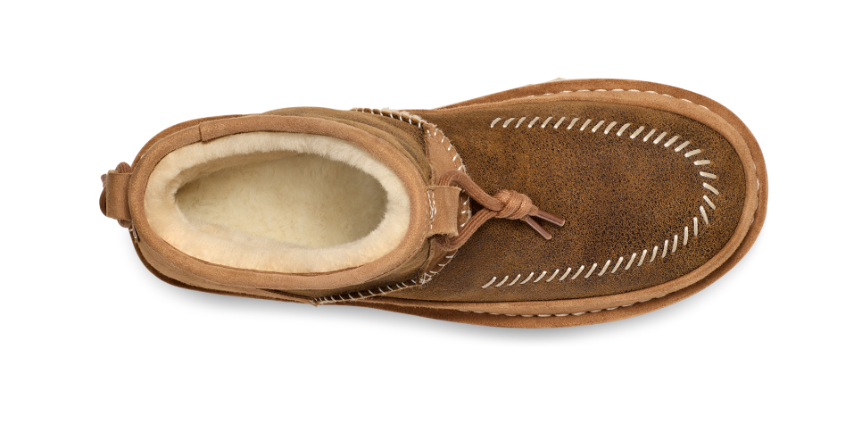 All Gender Campfire Crafted Regenerate