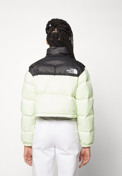 The Notthhrth Face NUPTSE SHORT JACKET