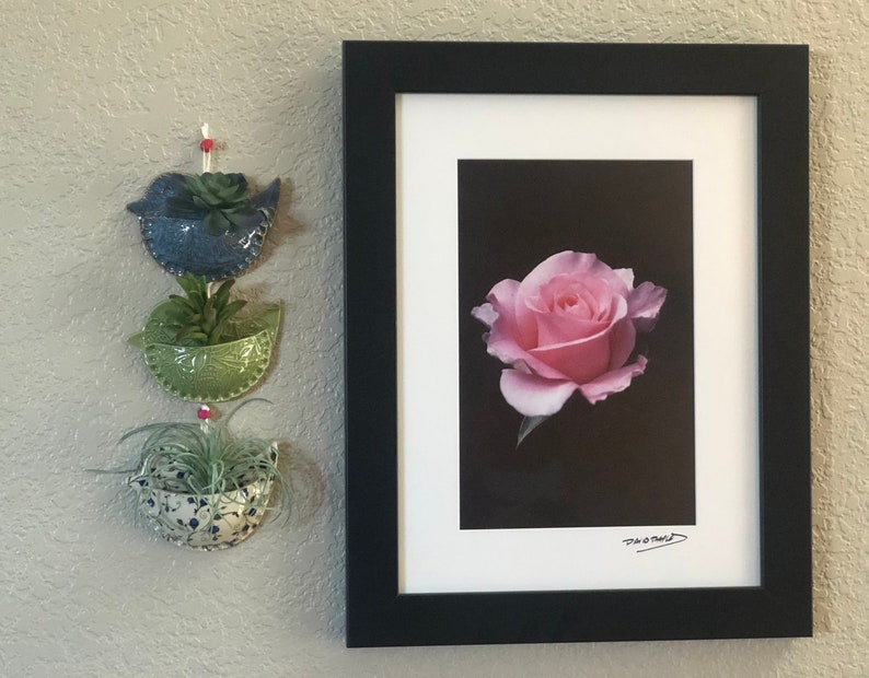 Bird Shaped Air Plant Wall Pocket / Small Wall Vase Planter Holder / Cute Ceramics Decor nClay, Air Fern - 3 1/2" x 5” Msg w/color request