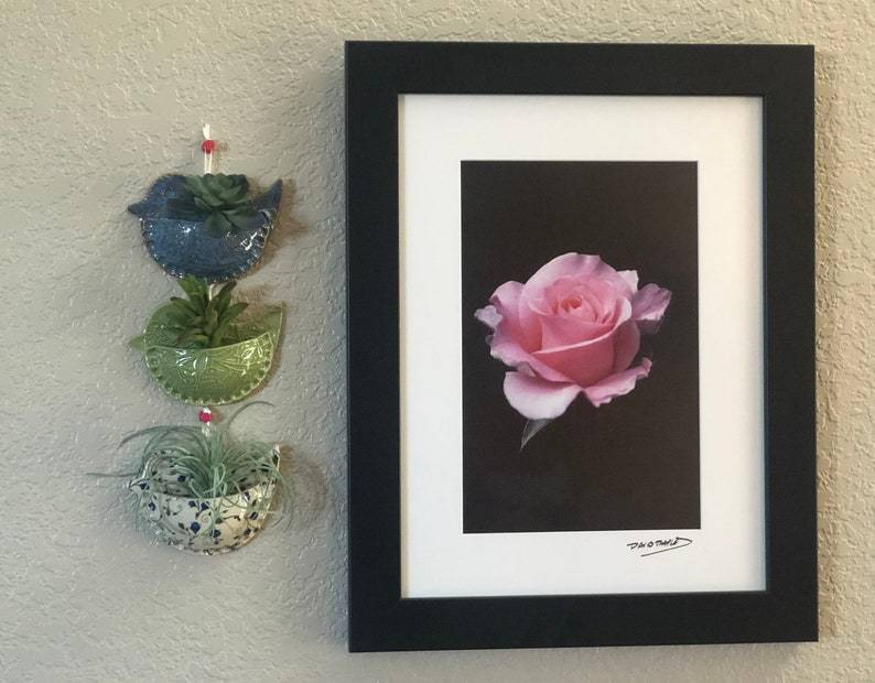 Bird Shaped Air Plant Wall Pocket / Small Wall Vase Planter Holder / Cute Ceramics Decor nClay, Air Fern - 3 1/2" x 5” Msg w/color request