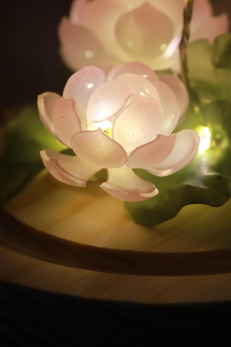 Mini Lotus Flower Pond Lamp – Ambient Night Light Decorative Lamps