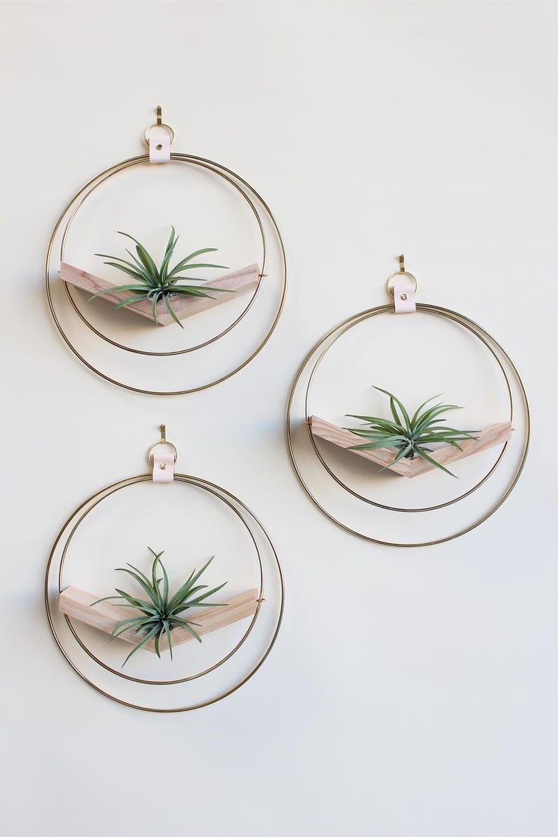 Large Hanging Planter Set (3) - Modern Wall Decor, Home Decor, Wall Mounted Plant Holder, Wall Mounted Planter, Hanging Planter