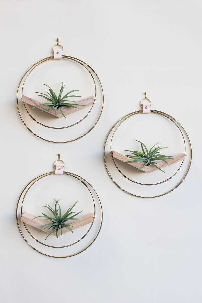 Large Hanging Planter Set (3) - Modern Wall Decor, Home Decor, Wall Mounted Plant Holder, Wall Mounted Planter, Hanging Planter