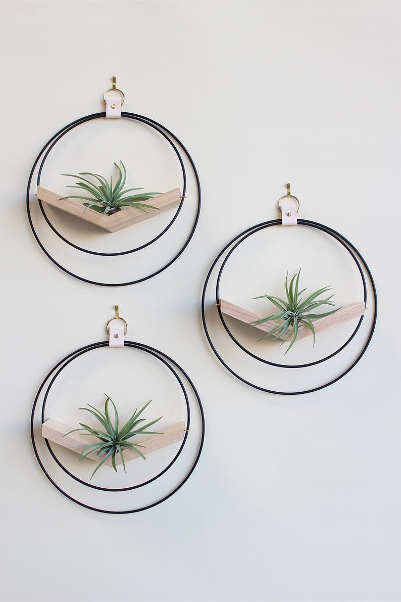 Large Hanging Planter Set (3) - Modern Wall Decor, Home Decor, Wall Mounted Plant Holder, Wall Mounted Planter, Hanging Planter