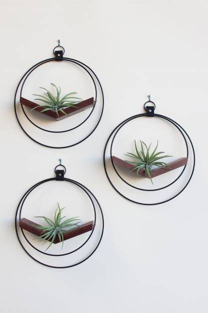 Large Hanging Planter Set (3) - Modern Wall Decor, Home Decor, Wall Mounted Plant Holder, Wall Mounted Planter, Hanging Planter